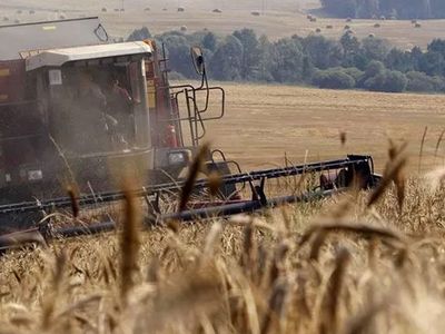 Bakan Kirişçi vatandaşa güven verdi, tedarikte birçok alternatifimiz var