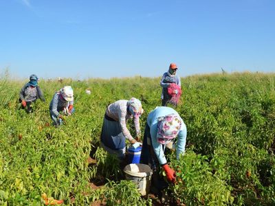 Bakan Koca Tarım İşçileri İçin Aşı Paylaşımı Yaptı