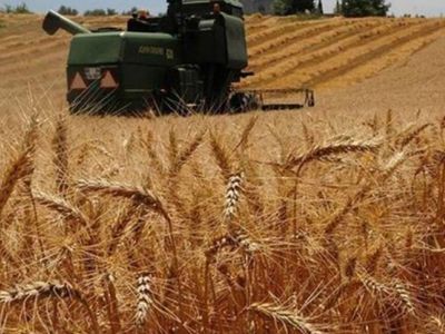 Bakanlık Duyurdu! Devletten Üreticilere 210 milyon 44 bin 627 lira Dev Destek Geldi