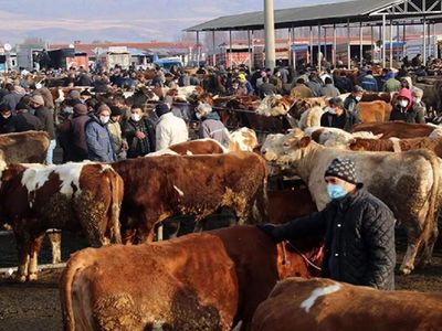 Bakanlık kırmızı alarm verdi: Ülke genelinde önlemler alındı