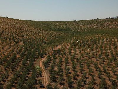 Bakanlık tarafından Çölleşme ve Erozyonla Mücadele için mega proje: 8 ana su havzasında 19 proje başlatıldı