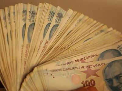 Bakanlık ve TCMB'den Kritik Hamle: Dövize Karşı Mücadele Başlatıldı!