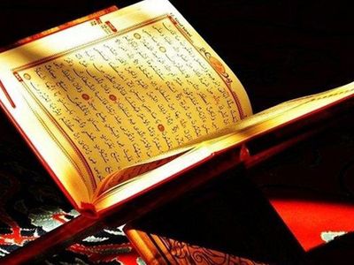 Bakara Suresi Anlamı Nedir, Bakara Ne Demek?