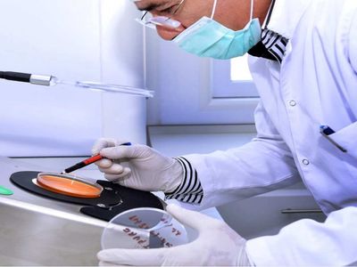 Balgama ne iyi gelir? Balgam oluşumu ve balgama iyi gelen şeyler