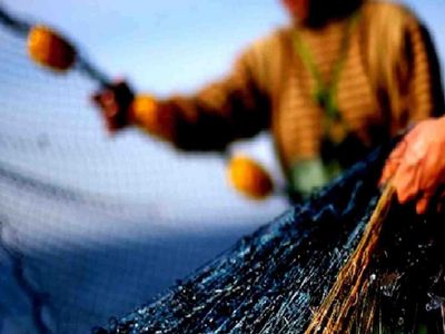 Balık av yasağı ne zaman başlıyor? 2022 Balık avı yasağı tarihleri