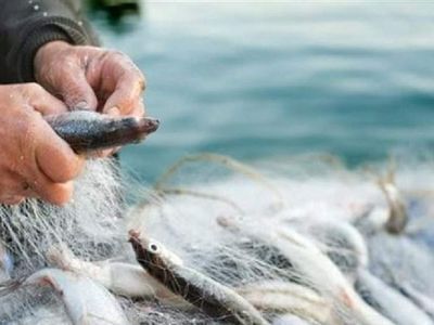 Balık avı yasağı ne zaman başlıyor? Balık avı yasağı tarihleri 2022