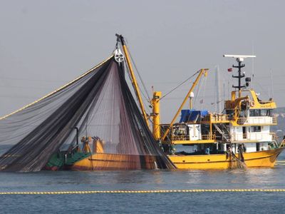 Balıkçılıkta yeni dönem başlıyor: Resmi Gazete’de yayımlandı