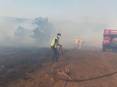 Balıkesir'i alevler sardı! Büyüyen orman yangınları korkuttu! Etkililer devreye girdi yangın nedeni belli oldu