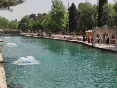 Balıklıgöl'deki çok sayıda balık ölümleri araştırılmaya başlandı