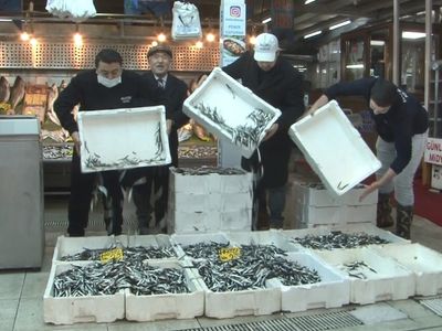 Balıkseverlere Güzel Haber! Hamsi Fiyatları Yarıya Düştü