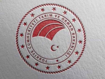 Başkan Erdoğan'ın imzasıyla Bakan Yardımcılarına yönelik atama kararları Resmi Gazete'de yayımlandı!