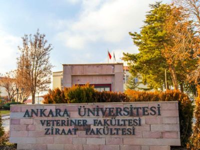 Başvuru tarihleri ve şartlar açıklandı: 1000’e yakın personel alınacak
