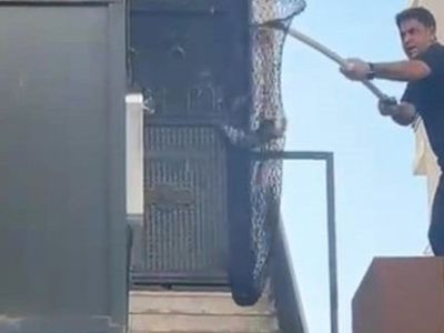 Batman'da kilitli metruk binada mahsur kalan 5 yavru kedi kurtarıldı