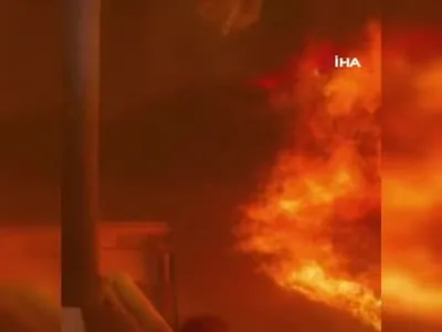 Nevada'da orman yangını nedeniyle 42 bin kişi tahliye ediliyor