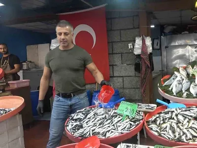 Yalova balık hali'nde fiyatlar ve çeşitlilik artıyor