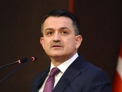 Bekir Pakdemirli Kimdir?