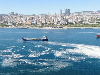 Belgeler ortaya çıktı: İstanbul denizlerinde büyük tehlike