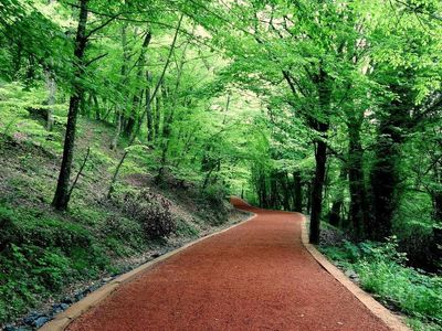 Belgrad Ormanı giriş ücreti ne kadar? 2022 Belgrad Ormanı araç giriş ücret bilgiler