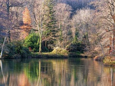 Belgrad Ormanı giriş ücretleri ne kadar? Belgrad Ormanı giriş ücretlerine zam mı geldi, girişler ne kadar oldu, kaç TL?