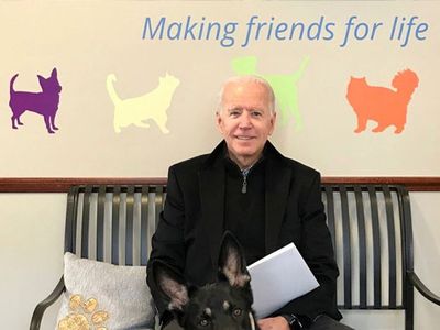 Biden'ın Köpeği, Beyaz Saray'ı Birbirine Kattı