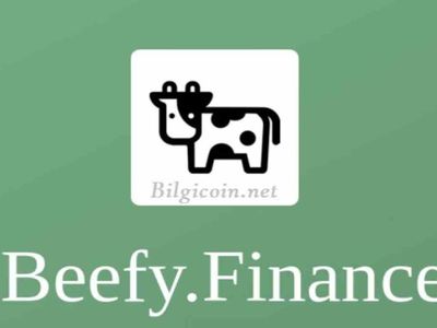 BIFI coin nedir? Beefy Finance coin projesi ve yol haritası