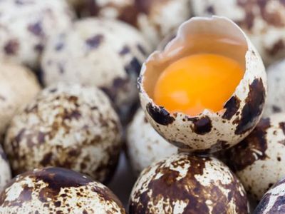 Bıldırcın yumurtası nasıl yenir, besin değeri nedir, astıma iyi gelir mi? Protein zengini bıldırcın yumurtasının faydaları