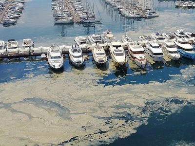 Bilim-2 Gemisi Marmara'da Gezilmedik Yer Bırakmadı! İşte İstanbul Boğaz'daki En Pis 5 Bölge