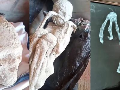Bilim dünyası ikiye bölündü: Peru’da uzaylı mumyası mı bulundu?