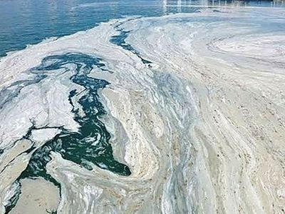 Bilim insanlarının yürüttüğü çalışma sonuçlandı: Marmara Denizi'nde müsilaj tehlikesinden başa bir risk daha bulunuyor!