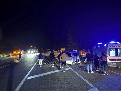 Bingöl'de Ata Çarpan Araçta Bir Kişi Hayatını Kaybetti