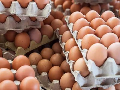 Bir koli yumurta kaç lira? Yumurtaya zam geldi! İşte yeni zam sonrası bir adet yumurta fiyatı