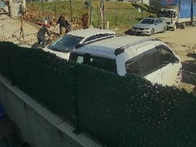 Bir Pitbull Saldırısı Daha: İstanbul'da Esnafın İş Yerinin Önünde Esnaf Köpeği Ağır Yaralandı!