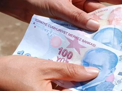 Bireysel Emeklilik Sistemi'nde (BES) detaylar belli oldu