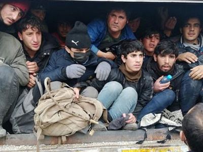 Bitlis'te 36 Kaçak Göçmen Yakalandı
