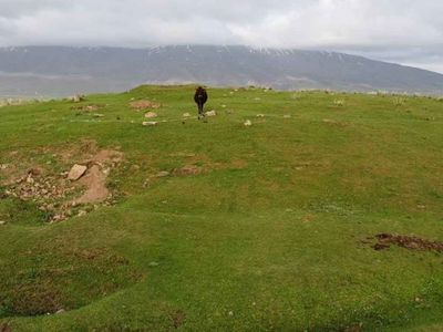 Bitlis'ten ilginç görüntüler: Yaylada mahsur kalan ineği dron çekimi yapan iki arkadaş kurtardı!