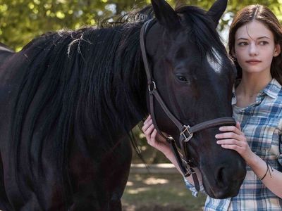 Black Beauty film konusu ve oyuncuları