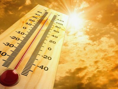 BM’den korkutan uyarı: Dünya felaket bir yolda