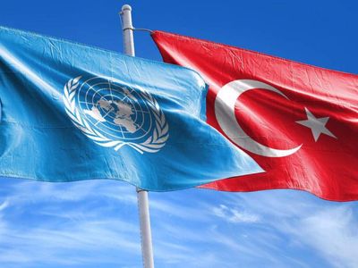 BM’nin ekonomi raporu dikkat çekti: Türkiye’de enflasyon düşecek