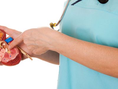 Böbrek taşı hastalığına neden oluyor: Bu besinleri tüketirken bir daha düşüneceksiniz!