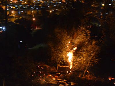 Bodrum'da Makilik Alanda Yangın Çıktı