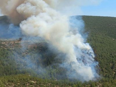 Bodrum’da orman yangını paniği: Ekipler yayılan alevlere müdahale ediyor