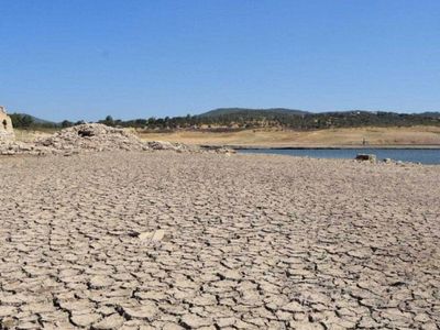 Bodrum’da su tehlikesi büyüyor: ‘Ciddi sorunlarla karşı karşıya kalabiliriz’