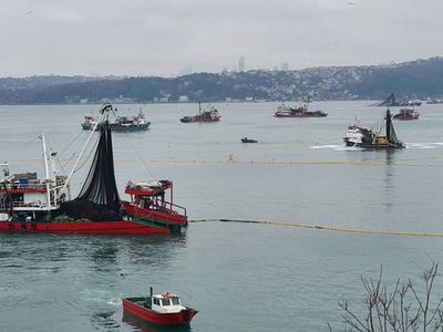 Boğazda görülen mayın, balık fiyatlarını da vurdu! Tezgahlarda 25 liraya varan artışlar görülüyor