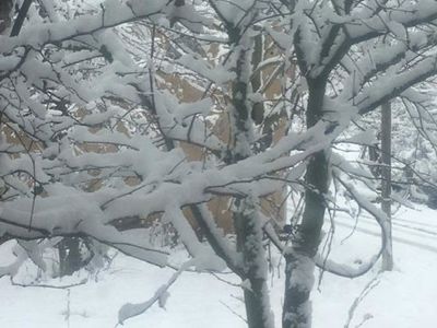 Bolu Dağı'nda Kar Kalınlığı 35 Santimetreye Ulaştı