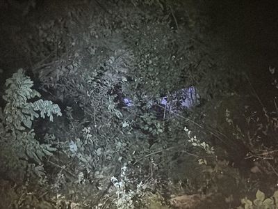 Bolu Dağı'nda Park Halindeki Kamyonetin Uçuruma Yuvarlanması