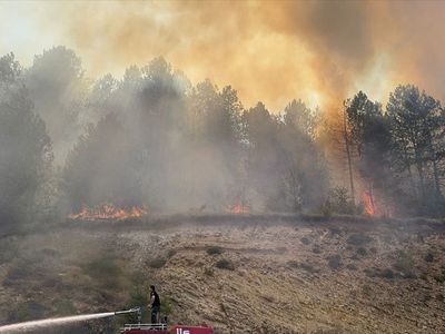 Bolu'da Orman Yangınına Müdahale Başlatıldı
