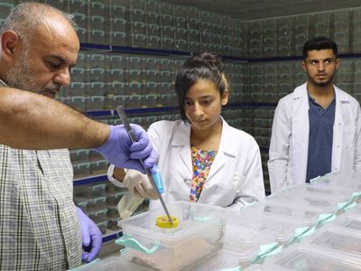 Bu işi yapmak yürek ister: Litresi 10 milyon dolardan satılıyor