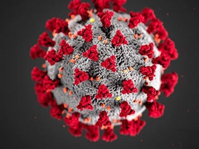 Bu Seferde Hindistan'da Salgın Patlak Verdi! Zika Virüsü Yayılıyor