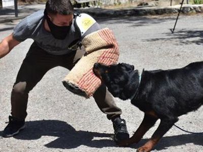 Buffy Artık Emniyet İçin Çalışıyor