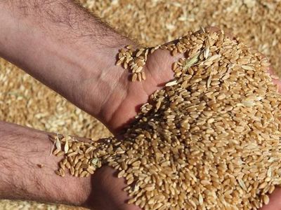 Buğday ve arpa destekleri ne zaman yatacak? Çiftçiye verilen destek ödemeleri ne zaman yatacak? Çiftçiye verilen destek ödemeleri kaç lira oldu, nasıl hesaplanır?
